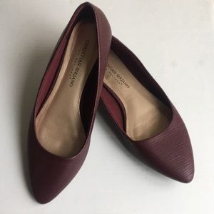 Christian Siriano for Payless "GiGi" Point Flats